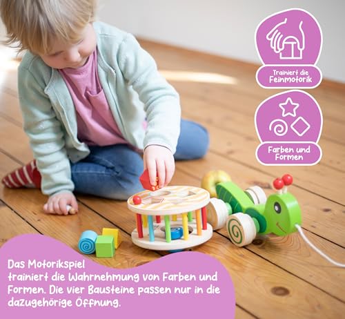 Eichhorn 100002231 NachziehStecktier, mit 4 versch. Steckbausteinen, Birkenholzspielzeug mit Bewegung, für Kinder ab 1 Jahr, Größe: 15x24x19,5cm