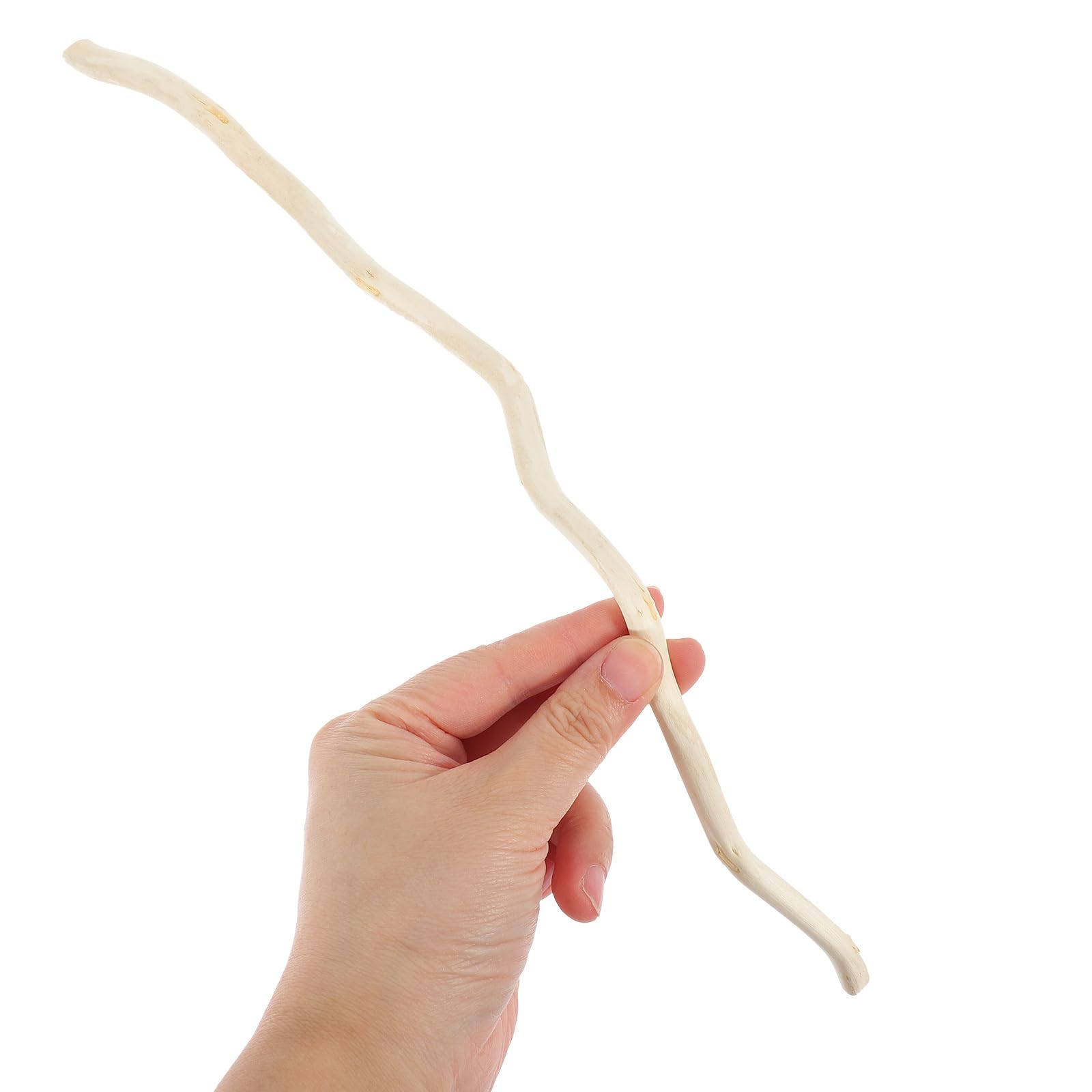 NUOBESTY 20pcs Dry Branch Decorative Plant Twigs Natural Twigs Sticks Handicraft Making Accessories Natural Craft Sticks Crafts for Diy Wood Sticks for Diy Crafts Wood Craft Sticks Wooden - Image 3