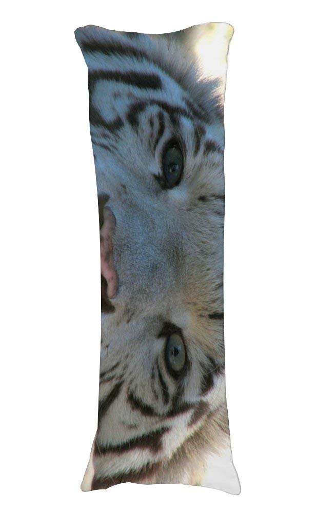 Seamless Patterns Tutorial FREE PATTERNS