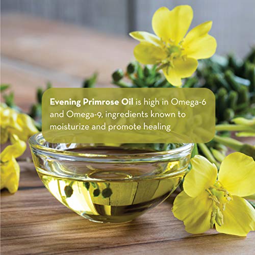 Pure Body Naturals Evening Primrose Oil - Liquid, Not Capsules - For Face, Skin And Hair, 4 Fl Oz #TOP2