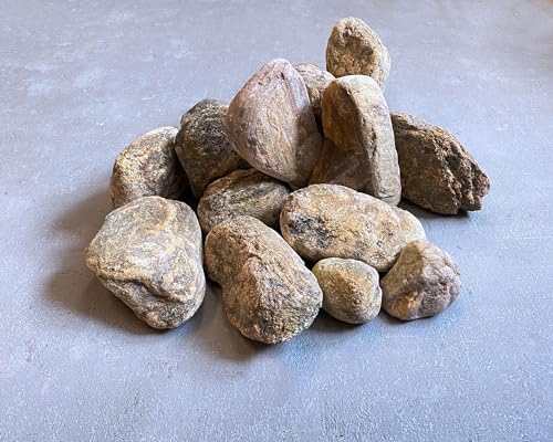 Jurassic Stone | Echter Stein Aquarium Deko | Naturstein für natürliche Aquarienlandschaft | 1 Stein | Größe:S 5-10 cm