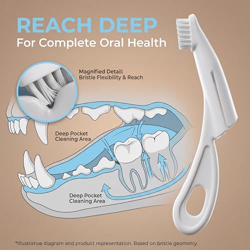 Image of Dog Toothbrush & Cat Toothbrush, Soft Nylon Bristle Cat Finger Toothbrush with Ergonomic Handle, Pet Toothbrush for Teeth Whitening, Oral Care Pet Supplies (White)