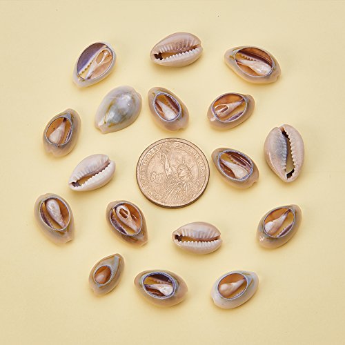 PH PandaHall 100-130PCS Conchiglie Spirale