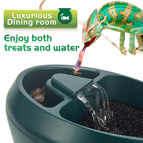NEPTONION Reptile Chameleon Cantina with Snacks Trough, Drinking Fountain Water Dripper for Amphibians Insects Lizard… - Image 4