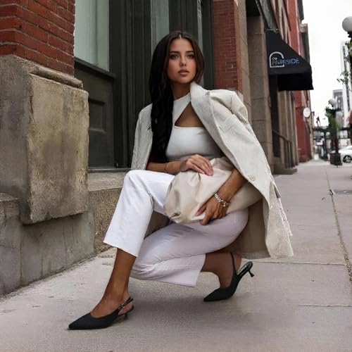 Cozivwaiy Black Mesh Kitten Heel for Women Slingbanck Business Shoes Pointed Closed Toe Elagant Office Pumps Comfortable Low Heels4