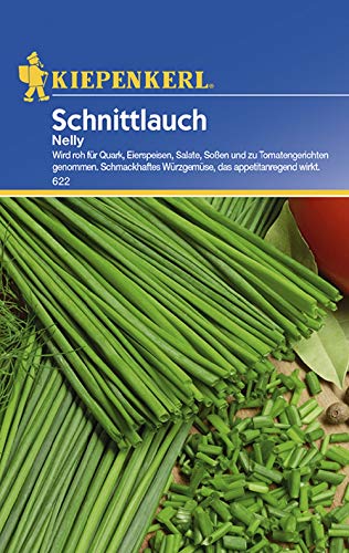 Schnittlauch Nelly feinröhrig mehrjährig Cover