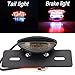 Fanale posteriore a LED per moto Luci posteriore con targa integrata Lampada freno posteriore per Racer Bobber Street Bike, Scooter, Cruiser, Chopper Dirt Bike ATV fuoristrada