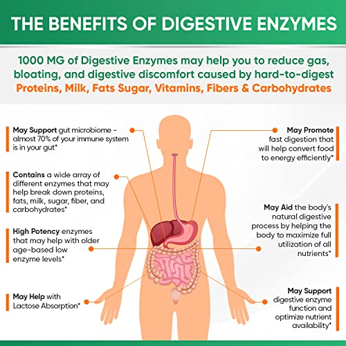 Wholesome Wellness DIGESTIVE-ENZYMES Enzymes 1000Mg Plus Prebiotics & Probiotics Supplement thumb #5