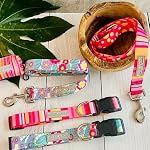 Lucky Love Dog - Adjustable Dog Collar with Easy Click Buckle for Medium, Durable, & Comfortable for Male & Female Dogs, Pet Collar for Puppies & Adult Dogs - Molly, Medium - Image 6