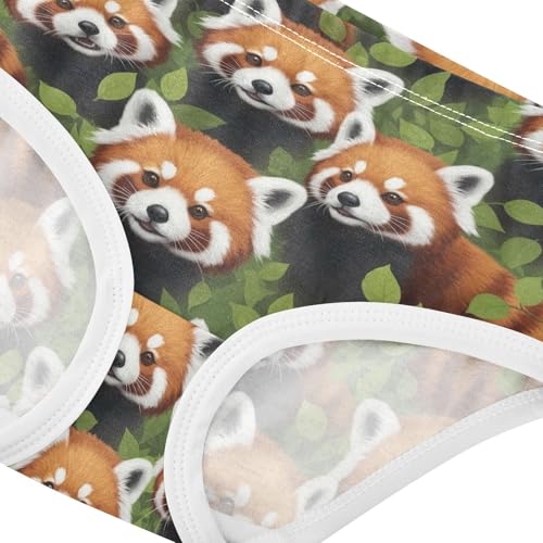 Joisal Print Toddler Underwear Floral 2t Cotton Panties Little Girl Adorable Brown Raccoon Faces Briefs Underpants4