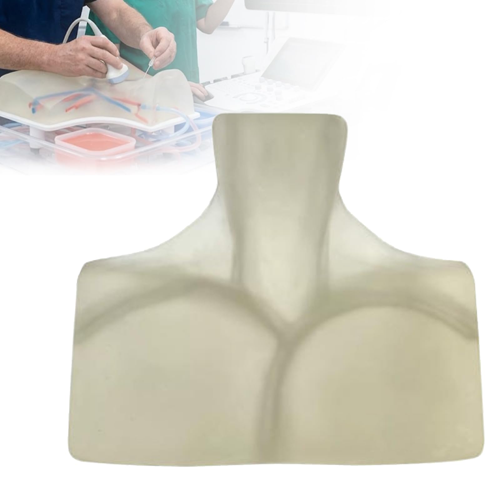 Ecoguided Central Venous Access (CVC) Simulator, Model Internal and Subclavian Jugular Vein Puncture, Fantoma Medical Training for Clinical Students