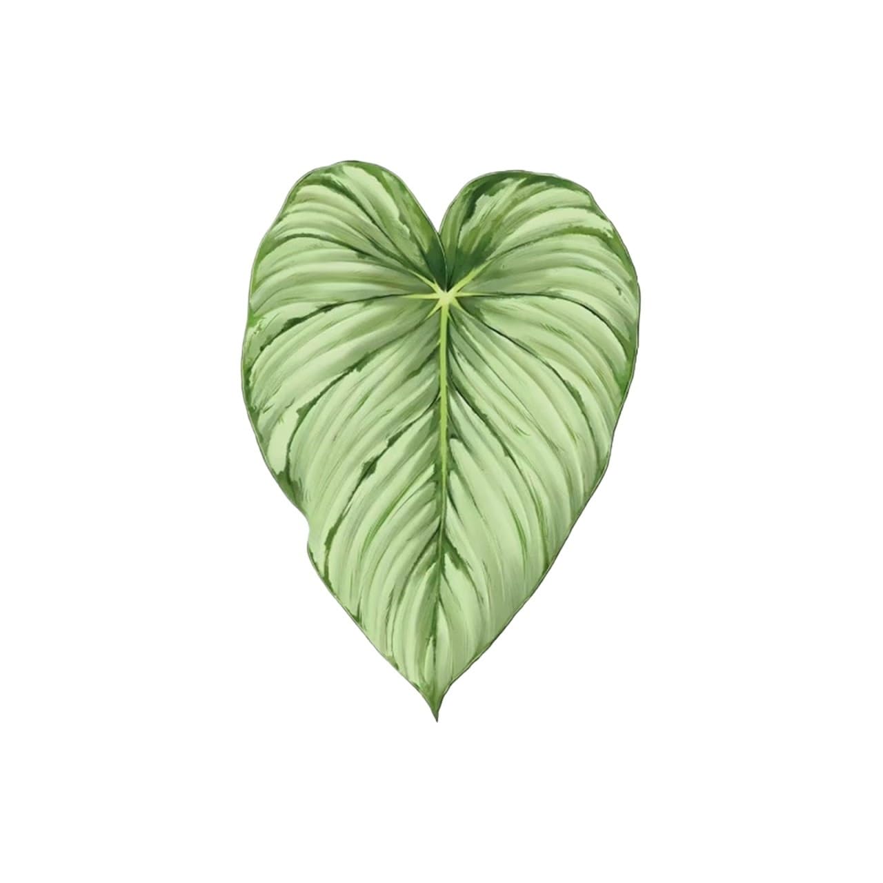 Coaster 3pcs Tropical Green Plant Cup Mats Anti Slip Holders Kitchen Drink Coasters(Color2)