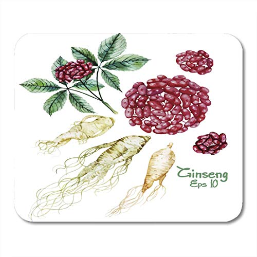 Preisvergleich Produktbild Mauspads Beerenrot Chinesisches Aquarell Ginsengwurzel und Beeren Grüne Kräutermedizin Mauspad für Notizbücher, Desktop-Computer Mausmatten, Büromaterial