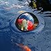 velda 123503 Dome for Watching Pond Fish, Diameter 35 cm, Floating Fish Dome M