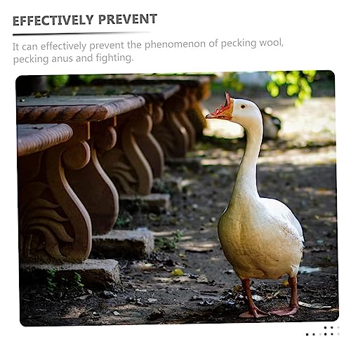 Anti-Picage Poules Lunettes Réutilisables Faciles à Installer - 2