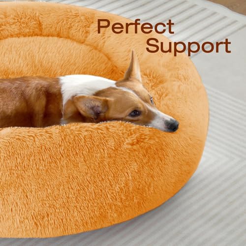 Image of JOLLYVOGUE Dog Bed, Calming Anti-Anxiety Large Dog Bed, Fluffy Donut Cushion for Medium and Large Pets (27 inch /30 inch /36 inch)