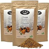 herb aber nicht bitter Chaga - Klassisch  Vitalpilz  Wildsammlung  Nord Russland