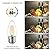 LVWIT B11 LED Filament Bulb E26 Candelabra Base 4.5W(60W Equivalent), Dimmable 2700K Warm White Chandelier Decorative Candle Light Bulb (6-Pack)