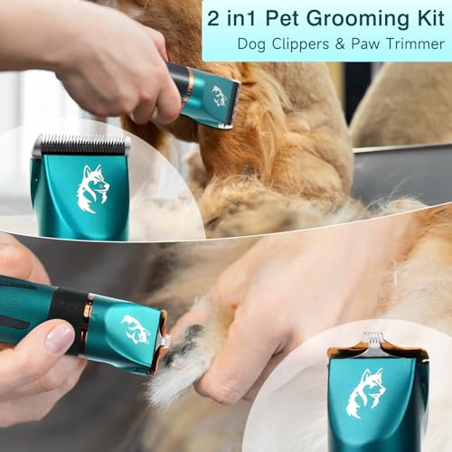OWill Schermaschine Hund für Dickes Haar, Schermaschine Katze für Haar und Pfote 2 in 1, Hunde Haarschneidemaschine mit Smart Digital Display für Haustier Katze Hund Trimmer
