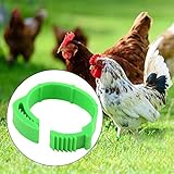 Identificar diferentes grupos de edad, razas y marcar gallinas y gallinas. Adecuado para aves de corral, patos, gallinas, etc.
