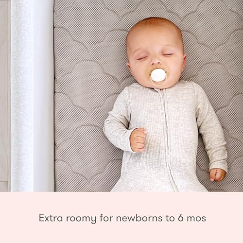 Image of Newton Baby Essential Bassinet | Includes Breathable Crib Mattress, Portable Design, Mesh Walls, Built-in Storage Shelf, Grey
