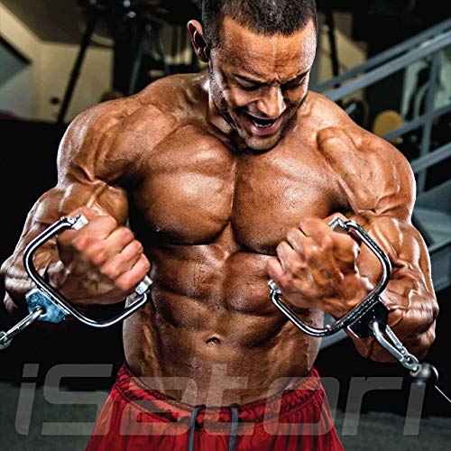 iSatori Bio-Active Whey Powder Chocolate Sensation (30 Servings) Classic Blender Bottle (Clear Bottle with Red Top) - Image 7