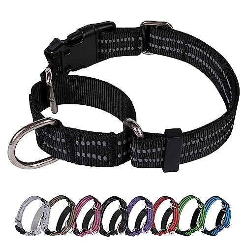 JOYEEIIOO Martingale Dog Collar, Adjustable Nylon Reflective Collar with Buckle No Pull Dog Collar...