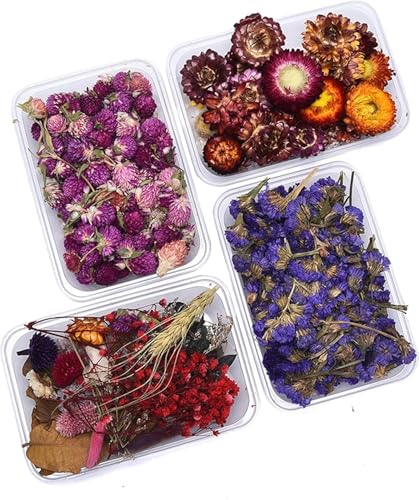 1 caja de flores secas para decoración y manualidades miniatura 2