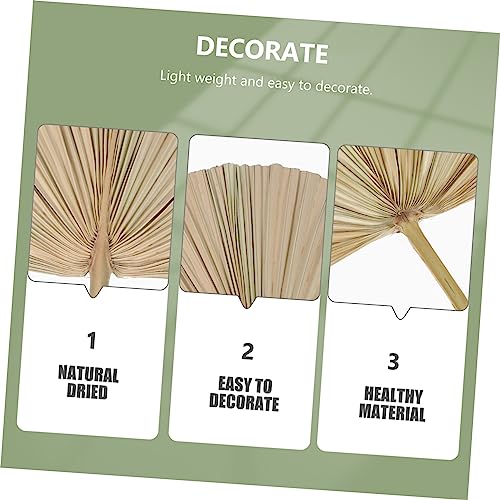 Hoja de Palma Seca Decorativa para Bodas y Eventos miniatura 7