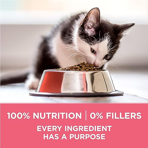 Purina ONE +Plus Dry Kitten Food, Chicken - 1.8 kg Bag image 2
