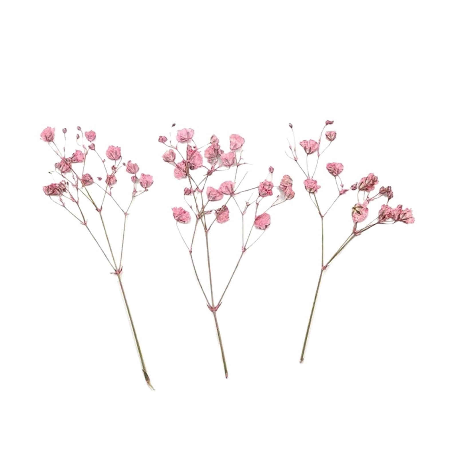 WJIAYAO dried gypsophila flowers 12Pcs Gypsophila Bouquets Colorful Dried Flower(Pink)