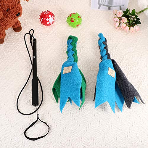 Creatief Bijtspeeltje Interactief Speelgoed Uitschuifbare Flirt Paal Grappige Chasing Teaser Sporter voor Huisdieren Honden Katten (Zwart Met Papieren en 2 stks Doek Toy Head) Grappig speelgoed - Image 6
