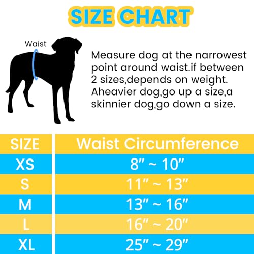 Image of Soft Belly Bands for Male Dogs (Pack of 3), Reusable Washable High Absorbing Dog Wraps Male, Doggie Puppy Leak-Proof Male Diapers (Style B(Pack of 3), Small)