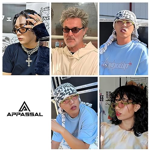 Retro 90s Oval Sunglasses for Women Men Y2K Slim Design Cateye Shades Trendy Sunnies AP36712