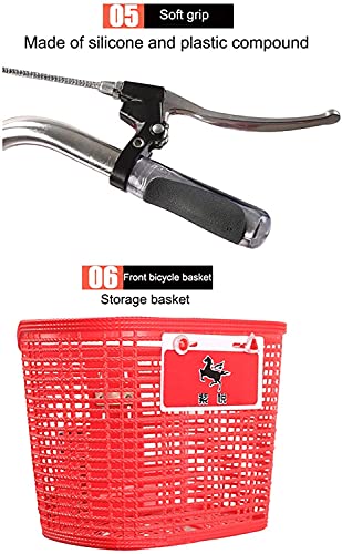 Triciclo Carga Adulto 3 Ruedas 20" miniatura 5
