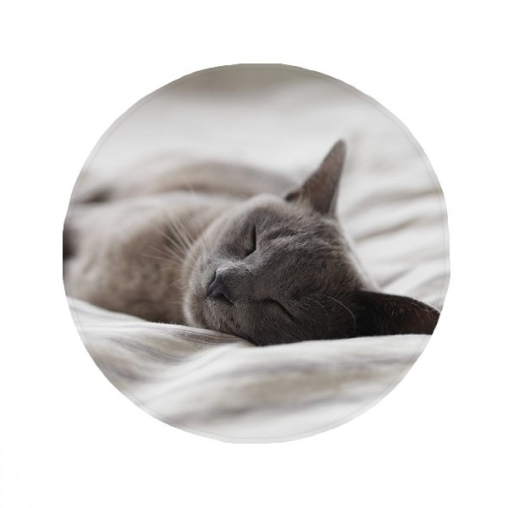 Tapis de chat mignon comme idée cadeau pour amoureux des animaux