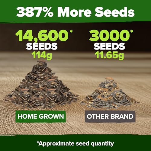 Image of HOME GROWN Zinnia Seeds for 2026 - California Giant Mix - 14,600+ (4 oz) Plant Wildflower Blooms Bulk Seeds for Planting Flowers Outside - Pollinator Gardens (Zinnia elegans)