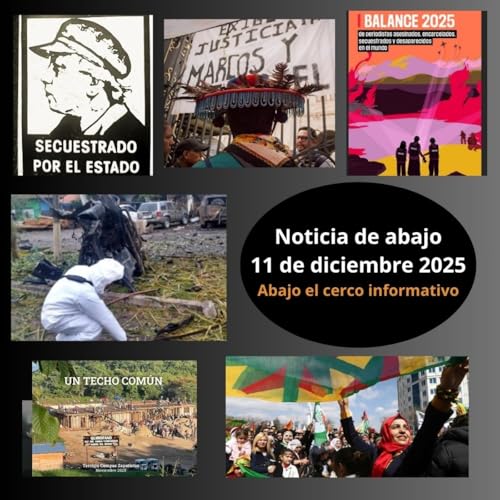 Noticias de Abajo 11 de diciembre 2025