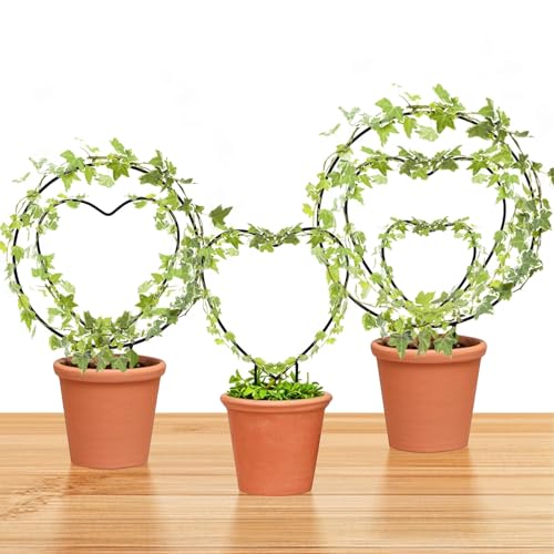 Hoya - Set di tralicci di 3 dimensioni per piante da interno, supporto per fiori, rotondi o a forma di cuore, in metallo, accessori da giardino per piccole piante rampicanti (neroCH)