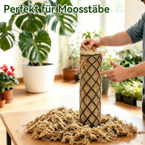 Halatool 500g Sphagnum Moos für Pflanzen,Natürliches Langfaser Torfmoos – Ansicht 4