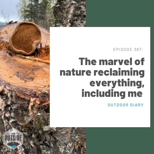 387: The marvel of nature reclaiming everything, including me (Outdoor Diary)