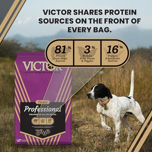 Image of VICTOR Professional Dry Dog Food - Gluten-Free Active Dog Kibble, 5 lb