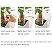 Sustee Aquameter (Small Green Refillable - Bundle of 2) - House Plant Soil Moisture Meter, Humidity Sensor Probe, Water Level Indicator - Best for Indoor Potted Plants