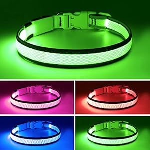 LED Dog Collar, USB Rechargeable Light Up Dog Collar Lights, Adjustable Comfortable Soft Mesh Safety Dog Collar for Small, Medium, Large Dogs(Large, Neon Green)