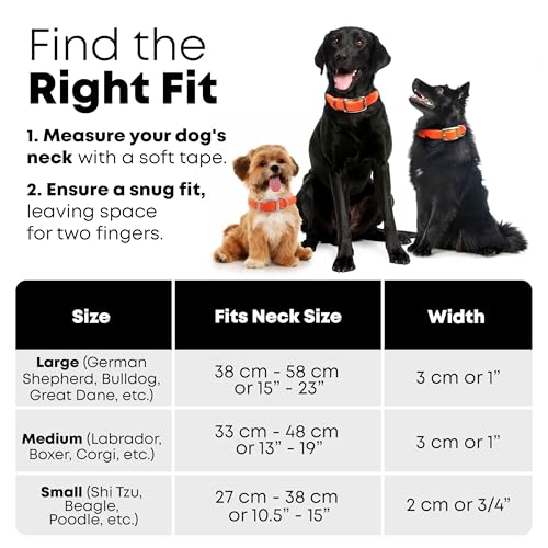Regal Dog Products WATERPROOF Medium Orange Dog Collar With Heavy Duty Double Buckle & D Ring | Vinyl Coated, Custom Fit, Adjustable Biothane Dog Collar Chew Resistant Waterproof Center-Ring Collar thumb #7