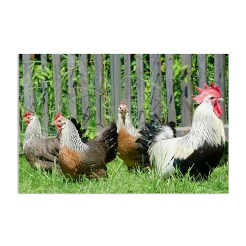 Tableau coq et poule pour une deco cuisine campagne chaleureuse 90x60 cm