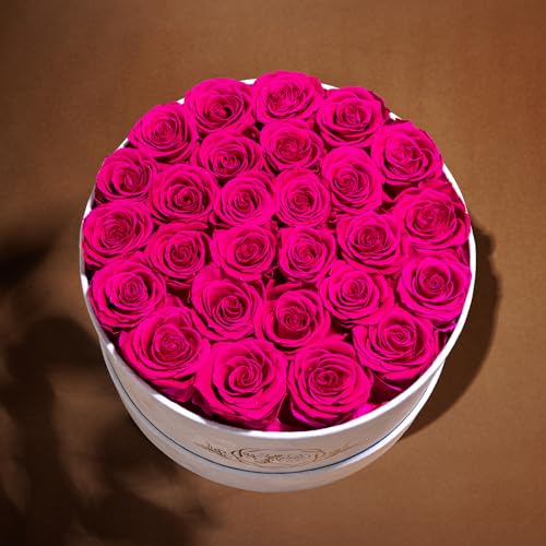 27 Flowers in a Luxury Suede Box, Birthday Gifts for Women, Preserved Flowers, Mothers Day Roses Gift for Mom, Hot Pink