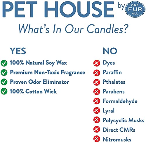 One Fur All, Pet House Candle - 100% Soy Wax Candle - Pet Odor Eliminator For Home - Non-Toxic And Eco-Friendly Air Freshening Scented Candles (Pack Of 1, Cucumber Mint) #TOP4