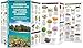 Caribbean Seashore Life / Criaturas Del Litoral Caribeño (Nature Observation International)