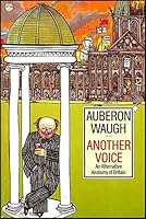 Another Voice 0316926493 Book Cover